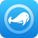 西风 app