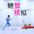 flashin使用方法