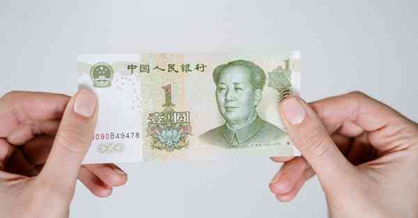 天行ios下载