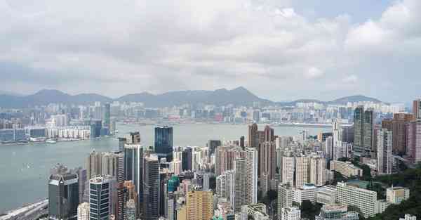 手机上外网的浏览器